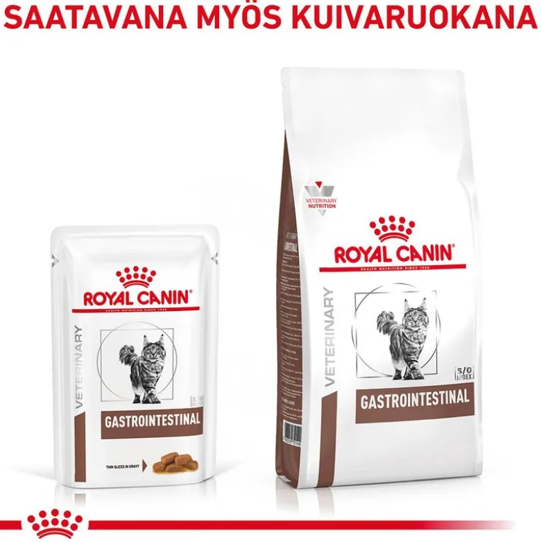 Royal Canin Veterinary Feline Gastrointestinal kastikkeessa