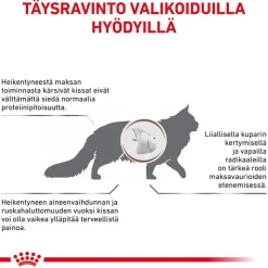 Royal Canin Veterinary Feline Hepatic