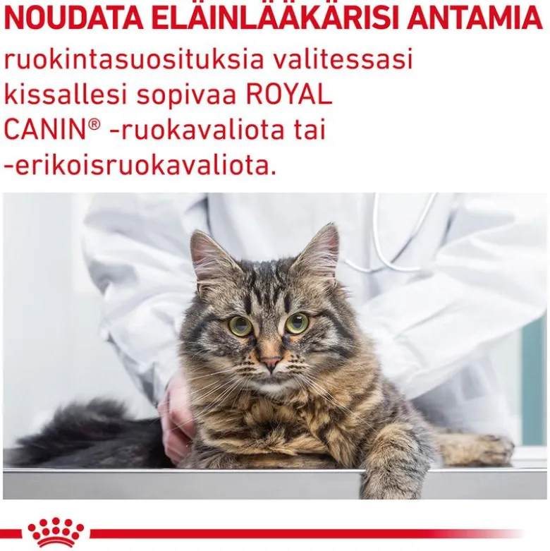 Royal Canin Veterinary Feline Gastrointestinal Fibre Response