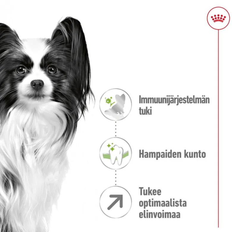 Royal Canin X-Small Adult 8 +