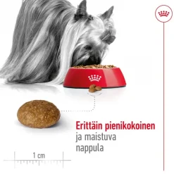Royal Canin X-Small Adult 8 +