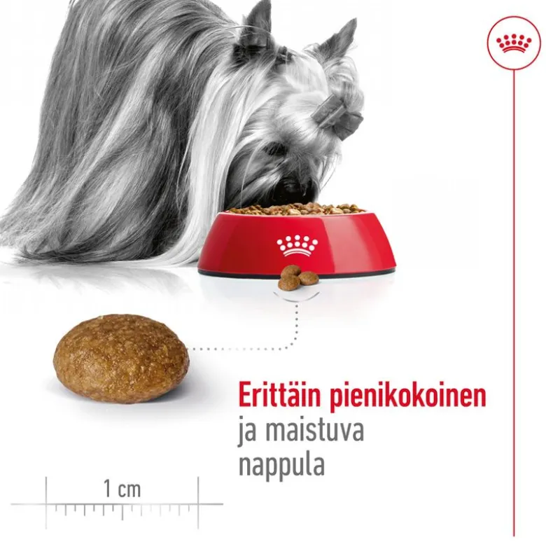 Royal Canin X-Small Adult 8 +