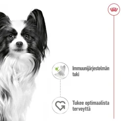 Royal Canin X-Small Adult kastikkeessa