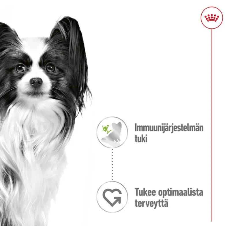 Royal Canin X-Small Adult kastikkeessa