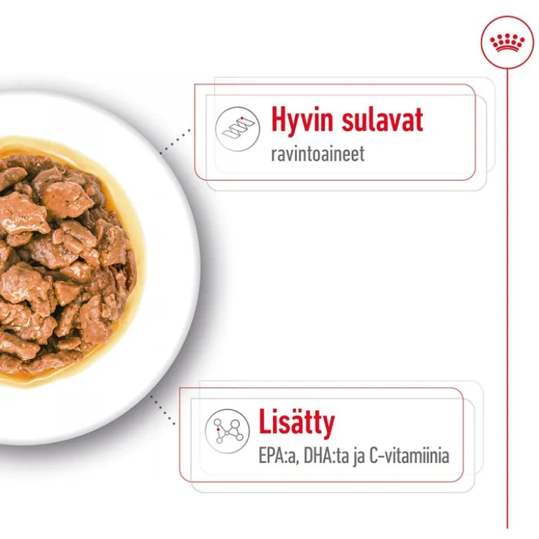 Royal Canin X-Small Adult kastikkeessa