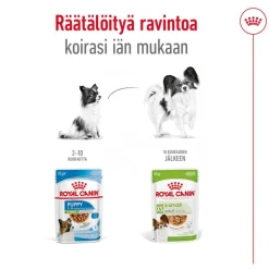 Royal Canin X-Small Adult kastikkeessa