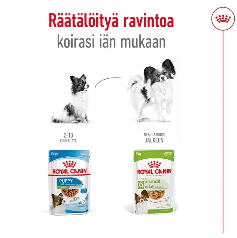 Royal Canin X-Small Adult kastikkeessa