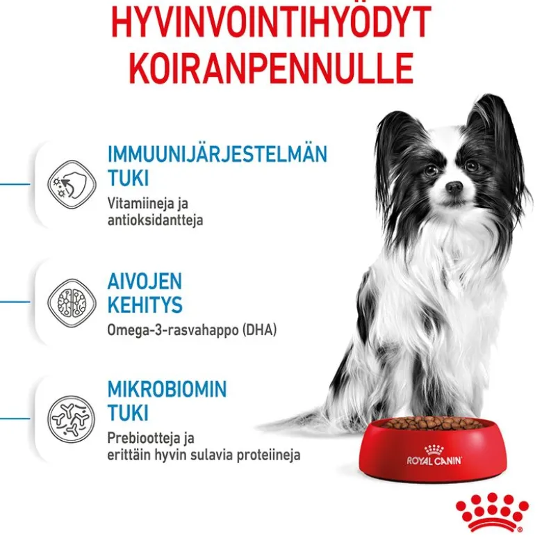 Royal Canin X-Small Puppy
