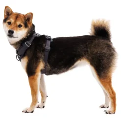 Ruffwear Front Range -valjaat