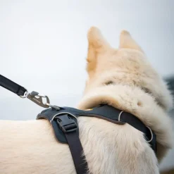 Ruffwear Front Range -valjaat