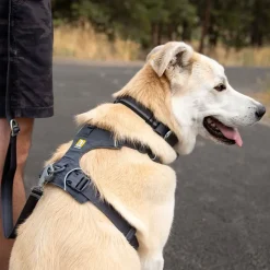 Ruffwear Front Range -valjaat