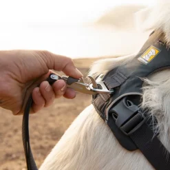 Ruffwear Front Range -valjaat