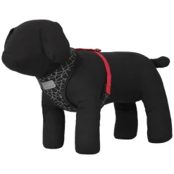 Rukka® Cube Mini -valjaat, punainen