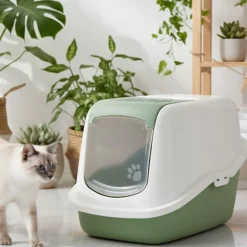 Savic Nestor