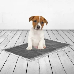 Savic Puppy Trainer Pads Aktiivihiilellä