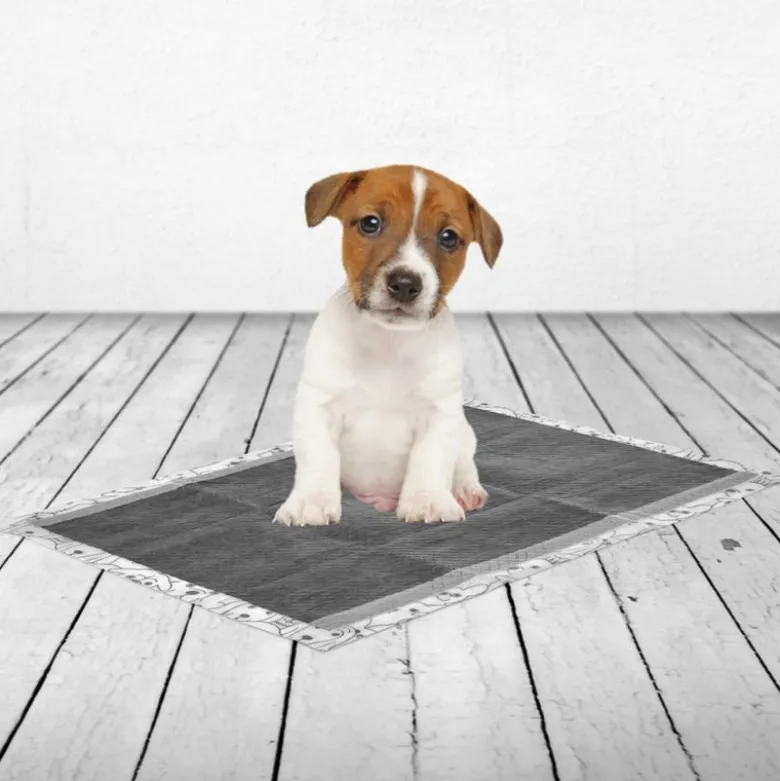 Savic Puppy Trainer Pads Aktiivihiilellä