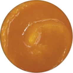 Schesir Functions Digestive Topper 12 x 40 g