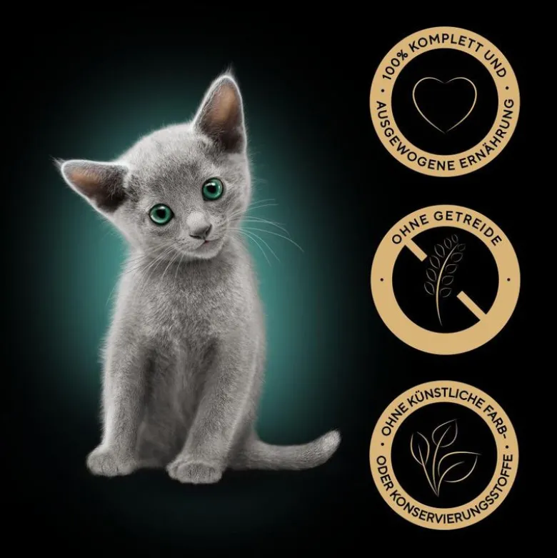 Sheba Kitten -tuorepussilajitelma 12 x 85 g