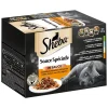 Sheba-rasialajitelma säästöpakkauksessa 48 x 85 g