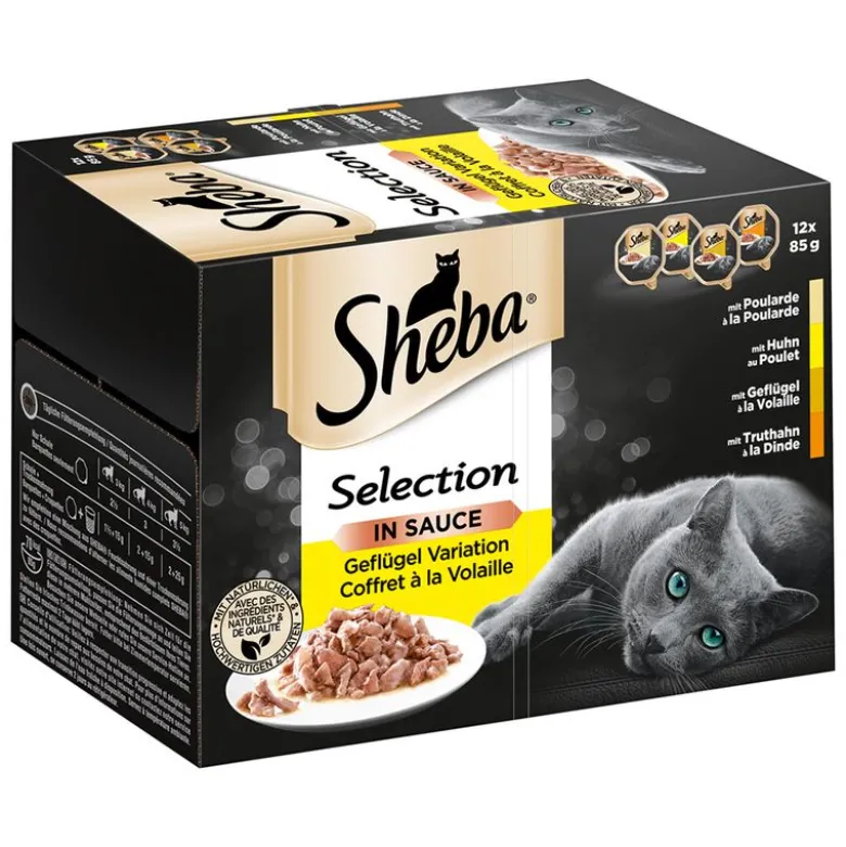 Sheba-rasialajitelma säästöpakkauksessa 48 x 85 g