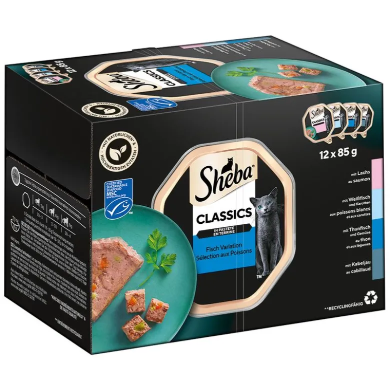 Sheba-rasialajitelma säästöpakkauksessa 48 x 85 g