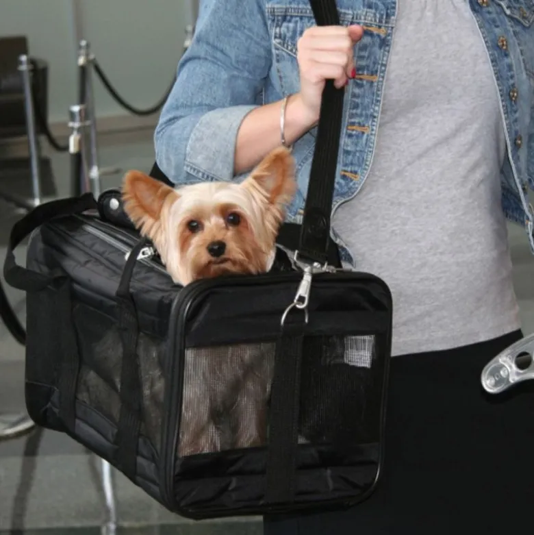 Sherpa® Original Deluxe Pet Carrier