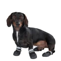 S & P Boots -koirantossut