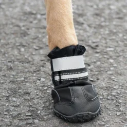 S & P Boots -koirantossut