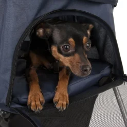 Sporty Pet Stroller -lemmikkirattaat