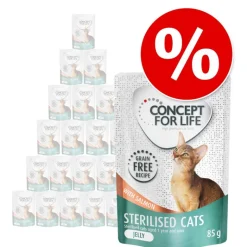 Säästöpakkaus Concept for Life viljaton 24 x 85 g