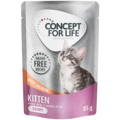 Säästöpakkaus Concept for Life viljaton 48 x 85 g