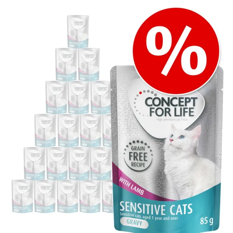 Säästöpakkaus Concept for Life viljaton 48 x 85 g