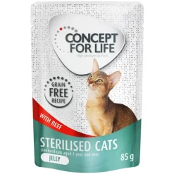 Säästöpakkaus Concept for Life viljaton 48 x 85 g