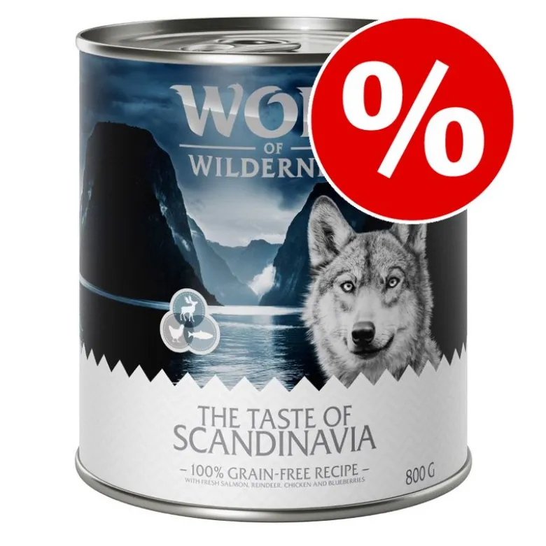 Säästöpakkaus: Wolf of Wilderness "The Taste Of" 24 x 800 g