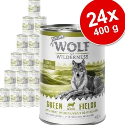 Säästöpakkaus Wolf of Wilderness Senior 24 x 400 g