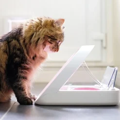 SureFeed Microchip Pet Feeder