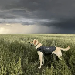 ThunderShirt® rauhoittava liivi, harmaa