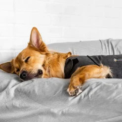 ThunderShirt® rauhoittava liivi, harmaa
