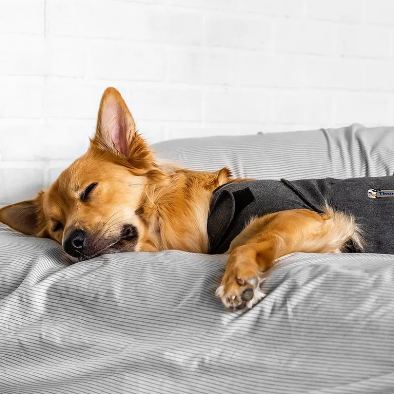 ThunderShirt® rauhoittava liivi, harmaa