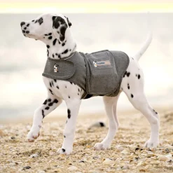 ThunderShirt® rauhoittava liivi, harmaa