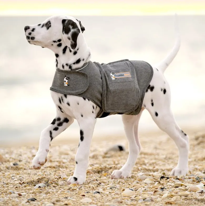 ThunderShirt® rauhoittava liivi, harmaa
