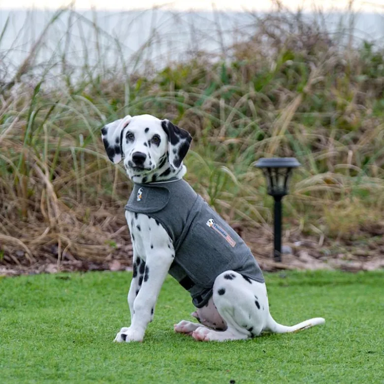 ThunderShirt® rauhoittava liivi, harmaa