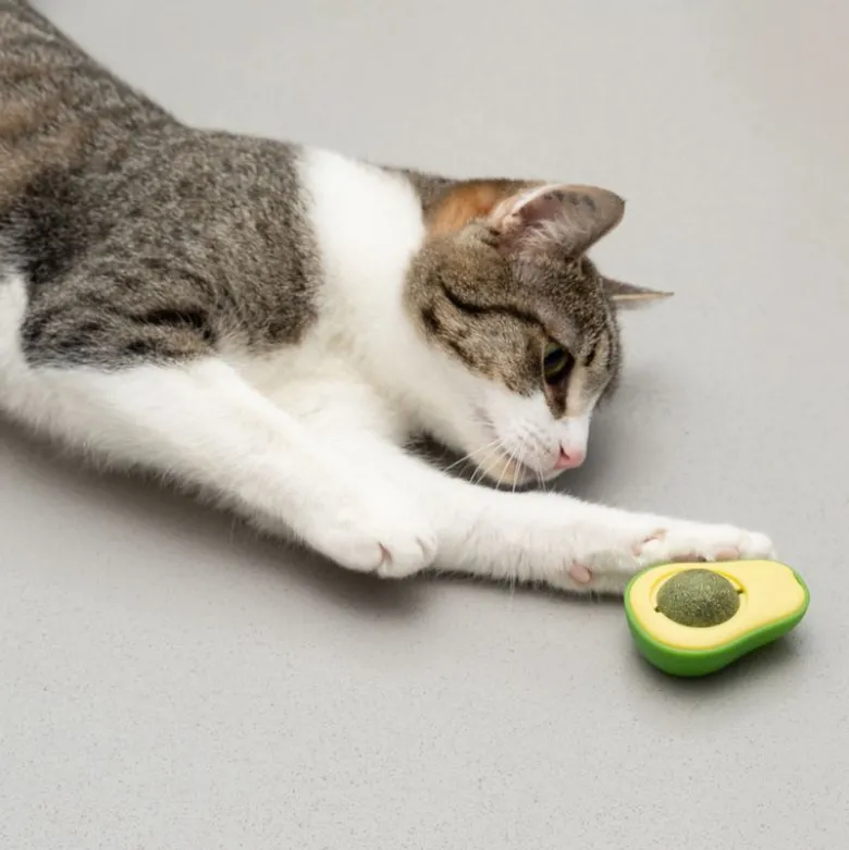 TIAKI Avocado kissanminttupallo