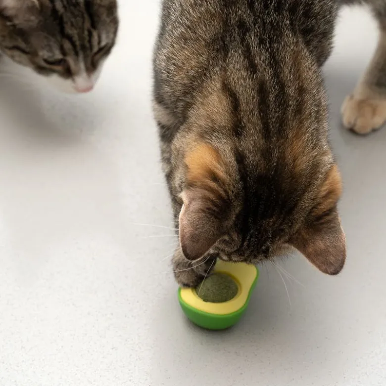 TIAKI Avocado kissanminttupallo