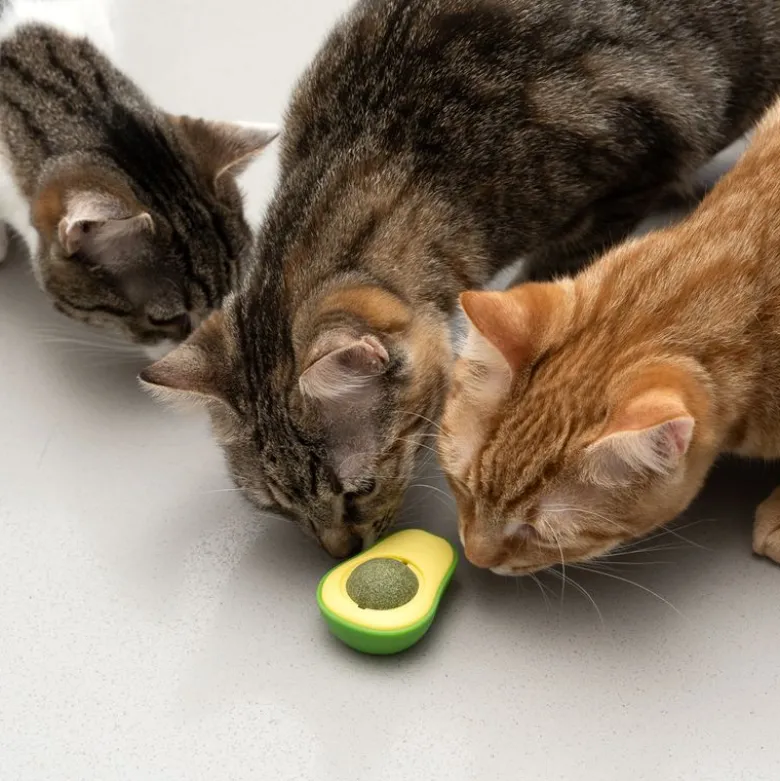 TIAKI Avocado kissanminttupallo