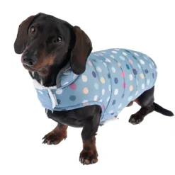 TIAKI Comfy Dots -koiran takki