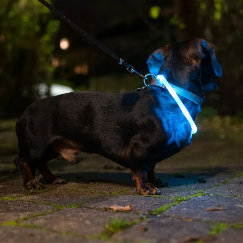 TIAKI Lantern USB LED -valopanta pieni