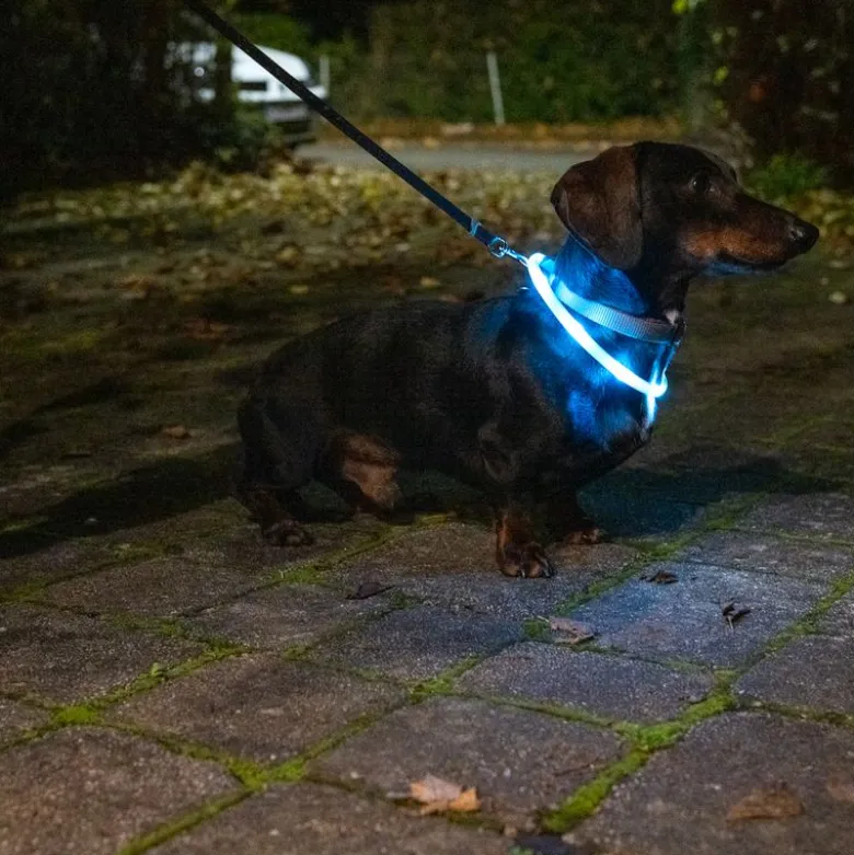 TIAKI Lantern USB LED -valopanta pieni