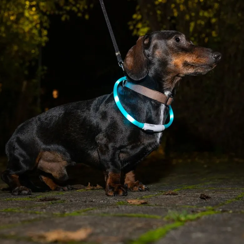 TIAKI Lantern USB LED -valopanta pieni
