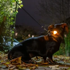 TIAKI Lighthouse LED-valoriipus